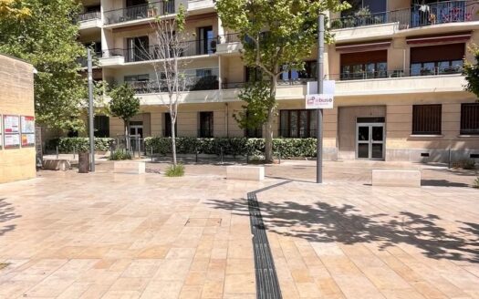 Grand Appartement T3 en hypercentre très lumineux